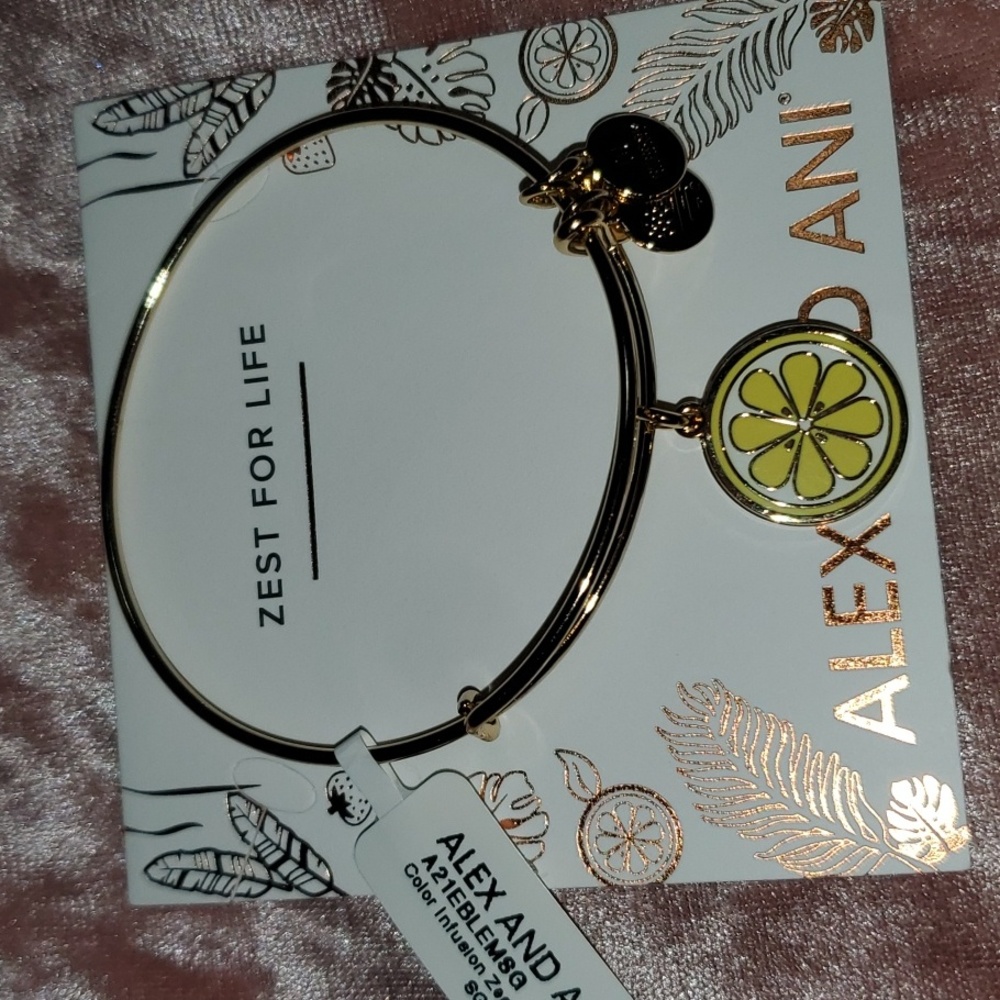 Alex and Ani 🍋 Charm Bracelet